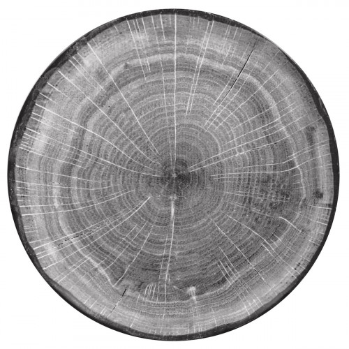 Assiette coupe plate rond beech porcelaine vitrifiée Ø 26,7 cm Woodart Rak