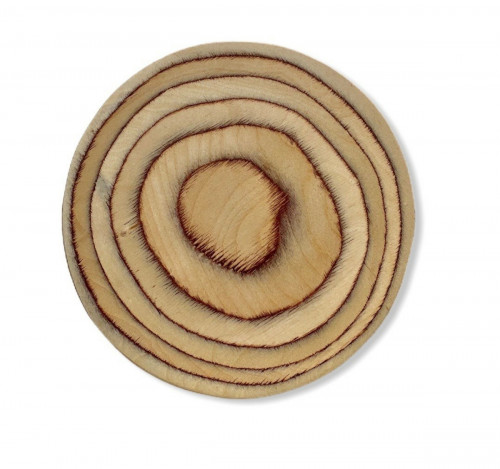 Planche rond bouleau en bouleau Ø 15 cm 1,5 cm De La Roca