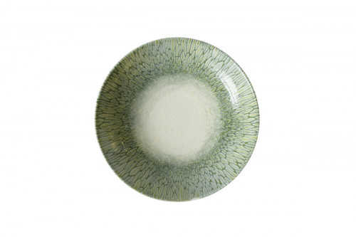 Assiette coupe creuse vert porcelaine vitrifiée Ø 24,8 cm Butterfly Dudson